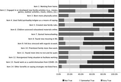 Assessing positive adaptation during a global crisis: The development and validation of the family positive adaptation during COVID-19 scale